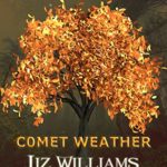 Comet Weather by Liz Williams