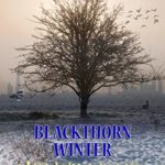 Blackthorn Winter by Liz Williams